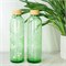 Glazen Waterfles Groen met Eco Print 700 ml Carry Bottles