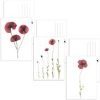Set van 3 Ansichtkaarten met Bloemen op Gerecycled Papier A6 Beterschap Blackbird