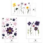 Set van 3 Dubbele Kaarten met Bloemen op Gerecycled Papier A6 Felicitatie Blackbird