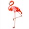 Flamingo Poster Geometrische Dieren op Extra Duurzaam Papier 50x70 Tinkle & Cherry