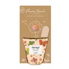Grow Kit met 6 Bio Zaadbommetjes Vlinderparadijs Blossombs